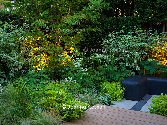 Edge Hill garden. Designer Tom Howard. All Photos © Joanna Kossak