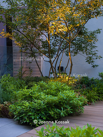 Edge Hill garden. Designer Tom Howard. All Photos © Joanna Kossak
