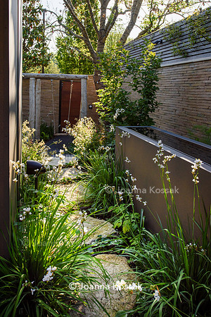Designer Tony Woods, Qian Gao/ Garden Club London All photos ©Joanna Kossak