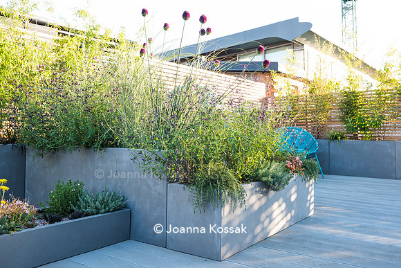 Shoreditch garden. Designed by Tony Woods/ Garden Club London, All Photos © Joanna Kossak