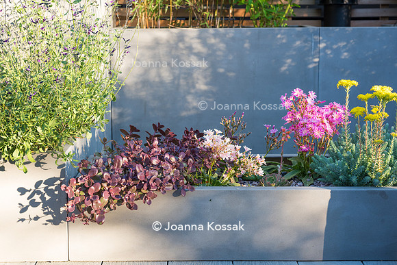 Shoreditch garden. Designed by Tony Woods/ Garden Club London, All Photos © Joanna Kossak