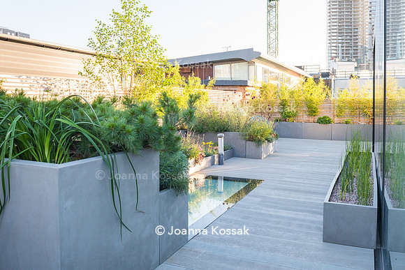 Shoreditch garden. Designed by Tony Woods/ Garden Club London, All Photos © Joanna Kossak