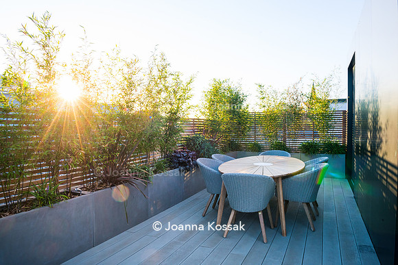 Shoreditch garden. Designed by Tony Woods/ Garden Club London, All Photos © Joanna Kossak
