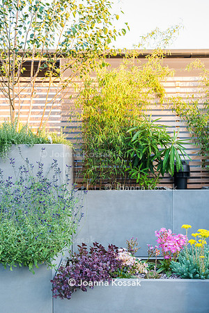 Shoreditch garden. Designed by Tony Woods/ Garden Club London, All Photos © Joanna Kossak