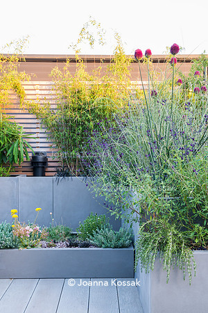 Shoreditch garden. Designed by Tony Woods/ Garden Club London, All Photos © Joanna Kossak