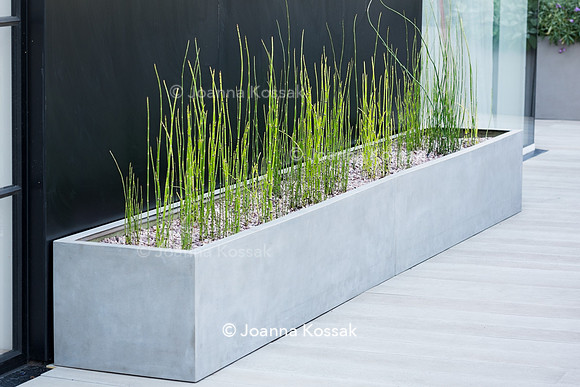 Shoreditch garden. Designed by Tony Woods/ Garden Club London, All Photos © Joanna Kossak