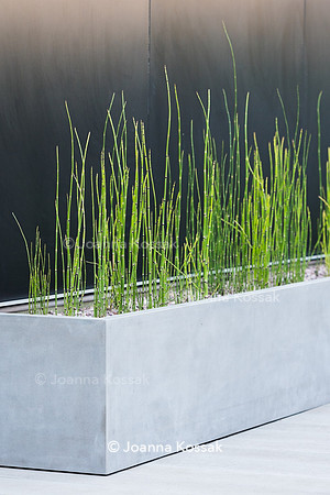 Shoreditch garden. Designed by Tony Woods/ Garden Club London, All Photos © Joanna Kossak