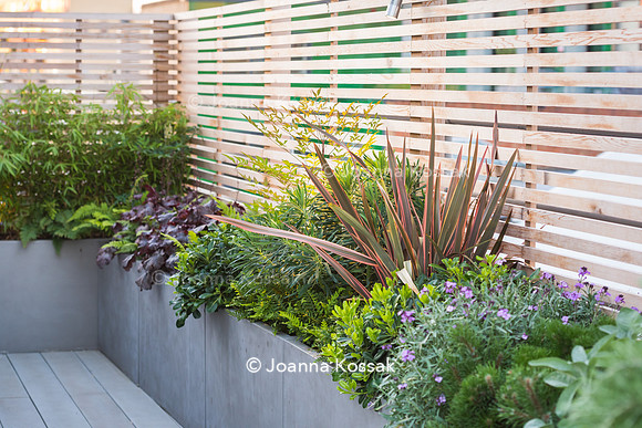 Shoreditch garden. Designed by Tony Woods/ Garden Club London, All Photos © Joanna Kossak