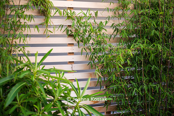 Shoreditch garden. Designed by Tony Woods/ Garden Club London, All Photos © Joanna Kossak