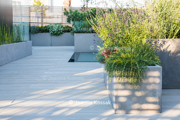 Shoreditch garden. Designed by Tony Woods/ Garden Club London, All Photos © Joanna Kossak