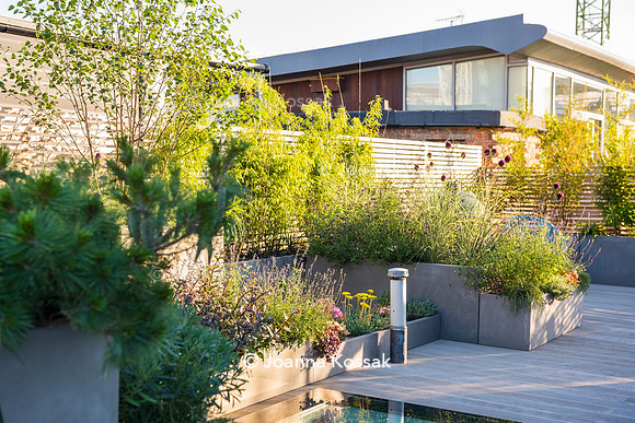 Shoreditch garden. Designed by Tony Woods/ Garden Club London, All Photos © Joanna Kossak