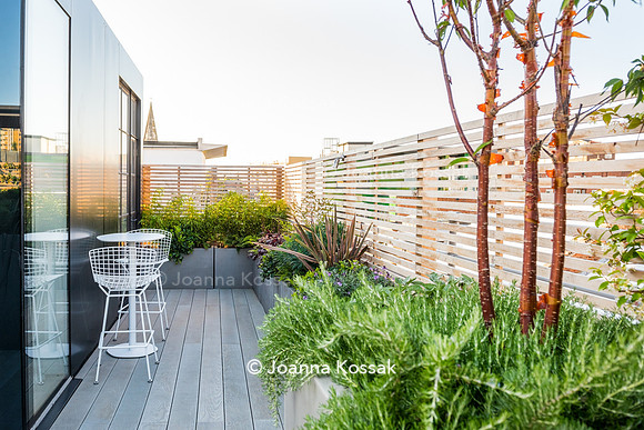 Shoreditch garden. Designed by Tony Woods/ Garden Club London, All Photos © Joanna Kossak