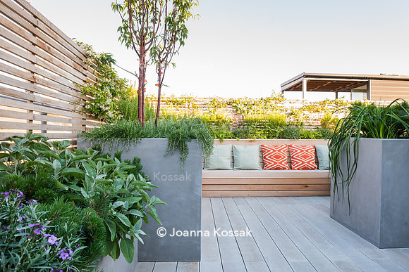 Shoreditch garden. Designed by Tony Woods/ Garden Club London, All Photos © Joanna Kossak