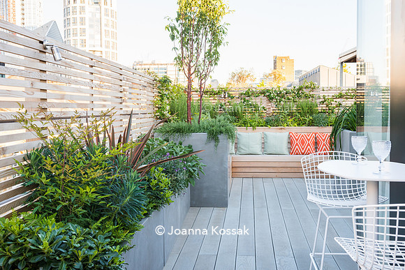 Shoreditch garden. Designed by Tony Woods/ Garden Club London, All Photos © Joanna Kossak