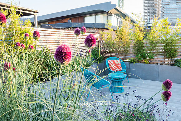 Shoreditch garden. Designed by Tony Woods/ Garden Club London, All Photos © Joanna Kossak