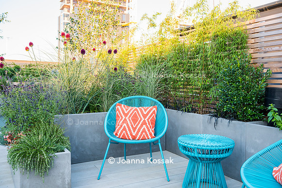 Shoreditch garden. Designed by Tony Woods/ Garden Club London, All Photos © Joanna Kossak