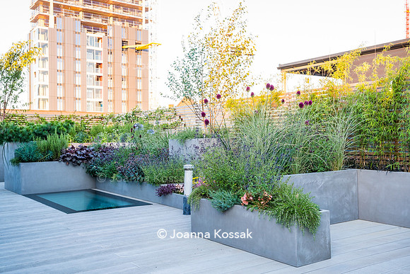 Shoreditch garden. Designed by Tony Woods/ Garden Club London, All Photos © Joanna Kossak