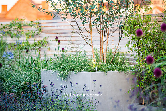Shoreditch garden. Designed by Tony Woods/ Garden Club London, All Photos © Joanna Kossak