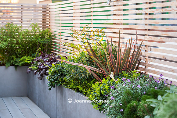 Shoreditch garden. Designed by Tony Woods/ Garden Club London, All Photos © Joanna Kossak