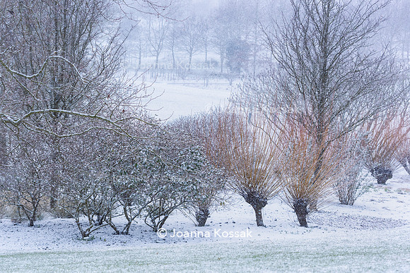 Hyde Hall Garden