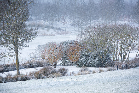 Hyde Hall Garden