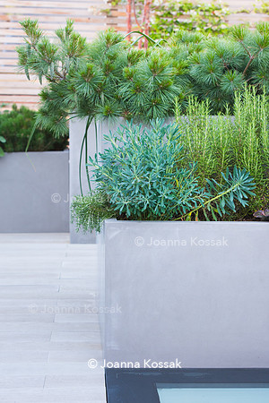 Shoreditch garden. Designed by Tony Woods/ Garden Club London, All Photos © Joanna Kossak