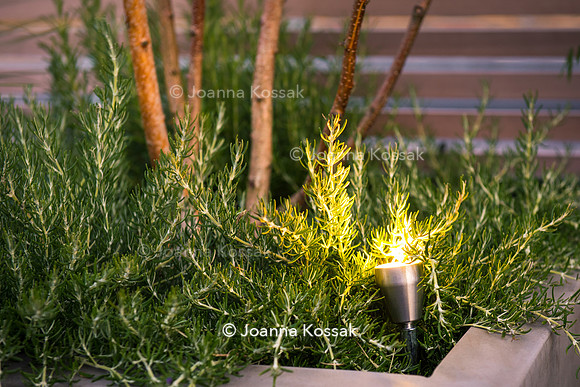 Shoreditch garden. Designed by Tony Woods/ Garden Club London, All Photos © Joanna Kossak