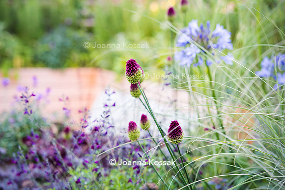 Shoreditch garden. Designed by Tony Woods/ Garden Club London, All Photos © Joanna Kossak