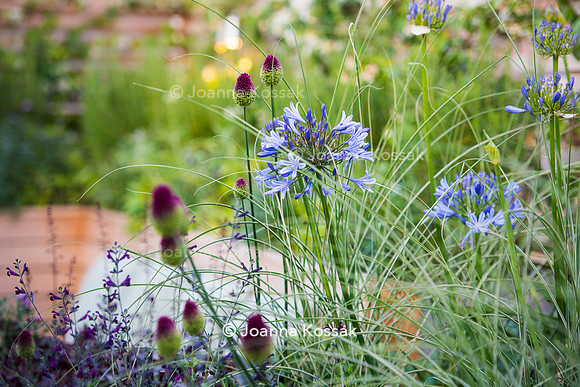 Shoreditch garden. Designed by Tony Woods/ Garden Club London, All Photos © Joanna Kossak