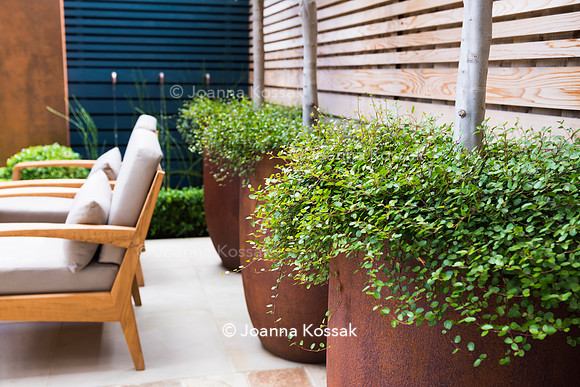 Small contemporary garden in Teddington. Designed by Tony Woods, All Photos © Joanna Kossak