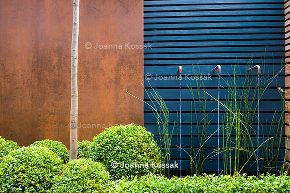 Small contemporary garden in Teddington. Designed by Tony Woods, All Photos © Joanna Kossak