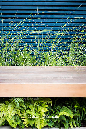 Small contemporary garden in Teddington. Designed by Tony Woods, All Photos © Joanna Kossak