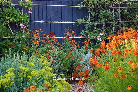 Weston Green/ Esher. Designed by Maitanne Hunt, All Photos © Joanna Kossak