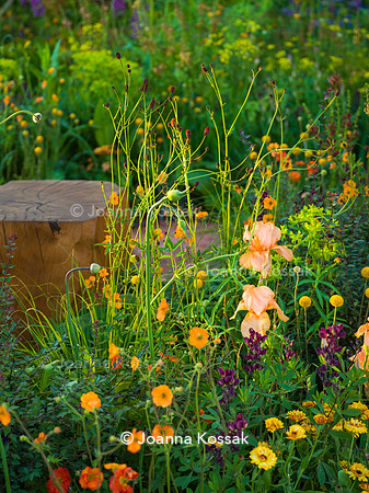 The Octavia Hill Garden by Blue Diamond with the National Trust