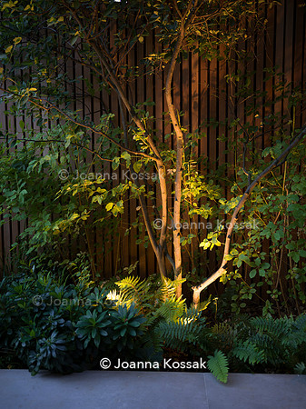 Edge Hill garden. Designer Tom Howard. All Photos © Joanna Kossak