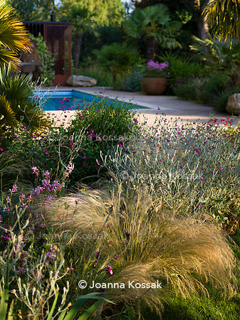 Old Scholl House garden, Designer Matthew Childs, All Photos © Joanna Kossak