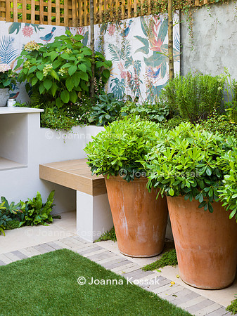 Hottam Rd garden. Designed by Harrington Potter/ Chris Harrington All Photos © Joanna Kossak