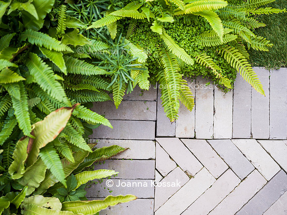 Hottam Rd garden. Designed by Harrington Potter/ Chris Harrington All Photos © Joanna Kossak