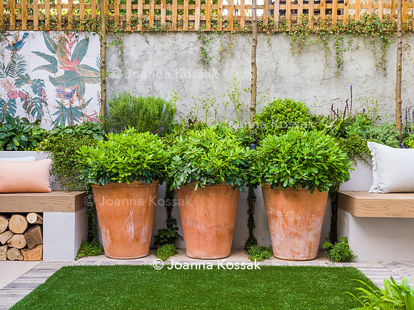 Hottam Rd garden. Designed by Harrington Potter/ Chris Harrington All Photos © Joanna Kossak