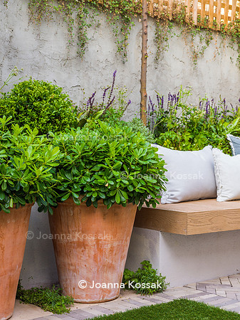 Hottam Rd garden. Designed by Harrington Potter/ Chris Harrington All Photos © Joanna Kossak