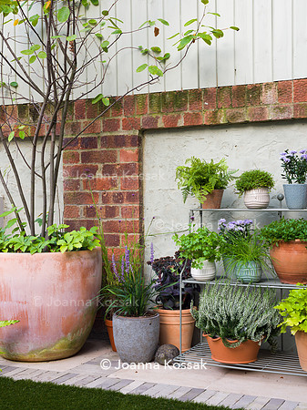 Hottam Rd garden. Designed by Harrington Potter/ Chris Harrington All Photos © Joanna Kossak