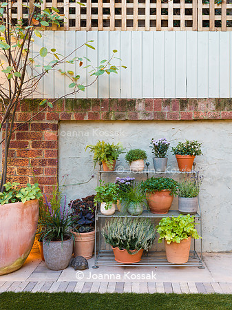 Hottam Rd garden. Designed by Harrington Potter/ Chris Harrington All Photos © Joanna Kossak