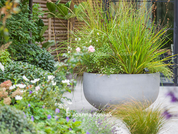 SW12, Designer: Shelley Hugh-Jones, All Photos © Joanna Kossak