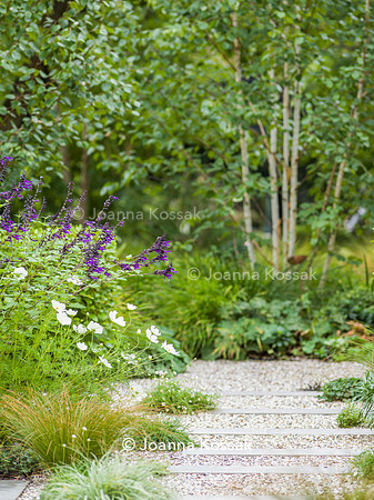 SW12, Designer: Shelley Hugh-Jones, All Photos © Joanna Kossak