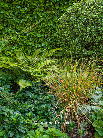 SW12, Designer: Shelley Hugh-Jones, All Photos © Joanna Kossak