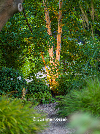 SW12, Designer: Shelley Hugh-Jones, All Photos © Joanna Kossak