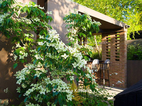 Designer Tony Woods, Qian Gao/ Garden Club London All photos ©Joanna Kossak