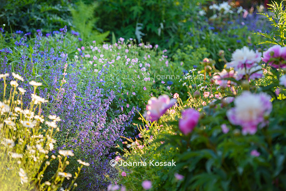 Old Vicarage, Designer Kate Smith, All Photos © Joanna Kossak