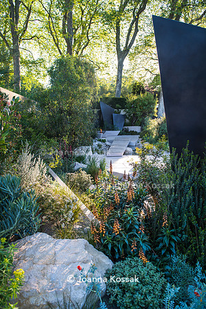 Irregular geometric bronze sculptures (fins), stones and  limestone paths surrounded by Isoplexus (Isoplexis) canariensis - Canary Island Foxgloves, Ozothamnus diosmifolius, Euphorbia ceratocarpa