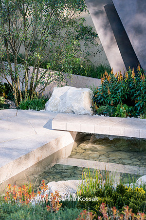 Limestone path over stream with clear water  surrounded by stones, irregular geometric bronze sculptures (fins), Isoplexus (Isoplexis) canariensis - Canary Island Foxgloves